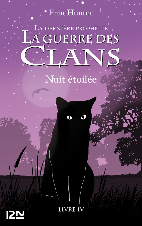 La dernière prophétie 4 - Nuit étoilée